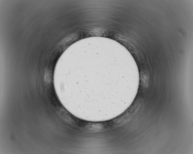 X0000112780665200910011258