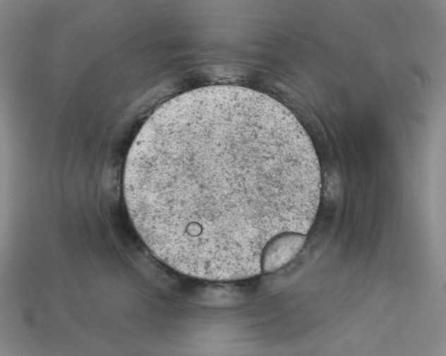 X0000112780666200910011258