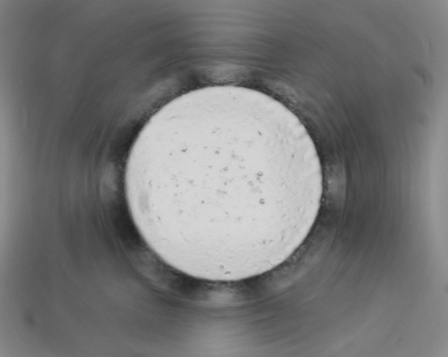 X0000112780667200910011258