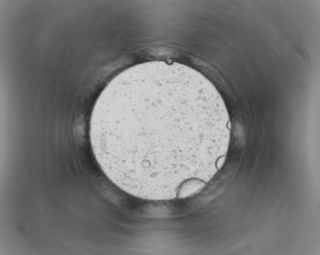 X0000112780668200910011258