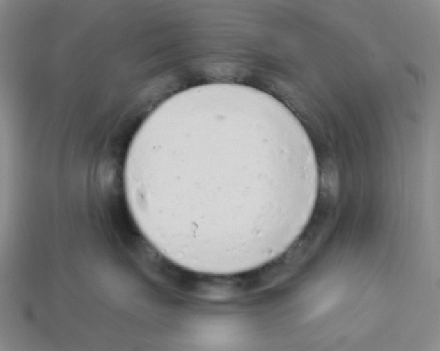 X0000112780671200910011259