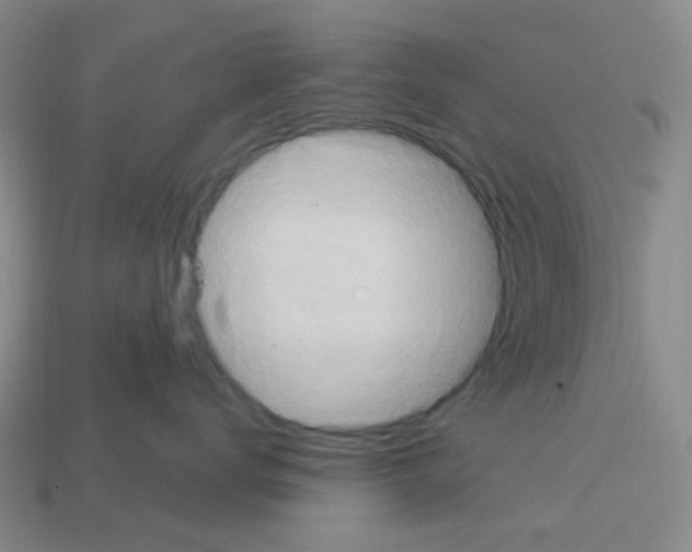 X0000112780672200910011259