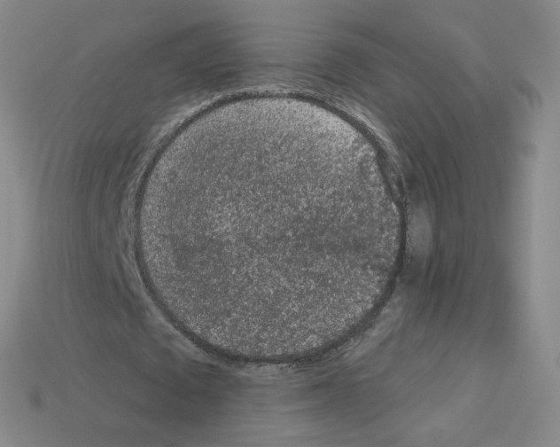 X0000112780673200910011258