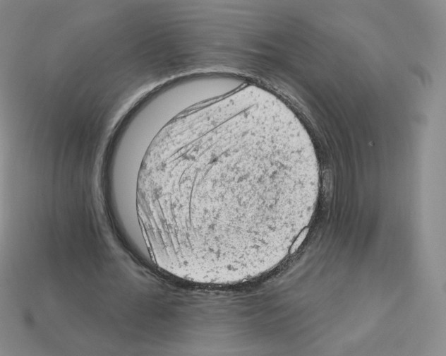 X0000112780676200910011258