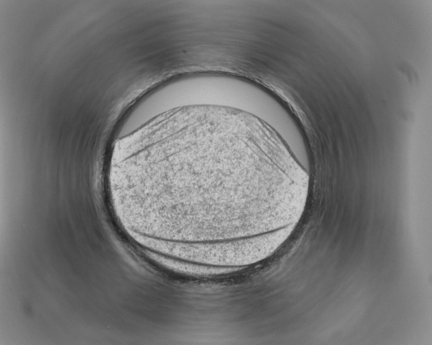 X0000112780677200910011258