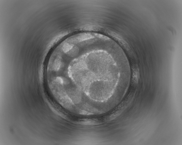 X0000112780678200910011258