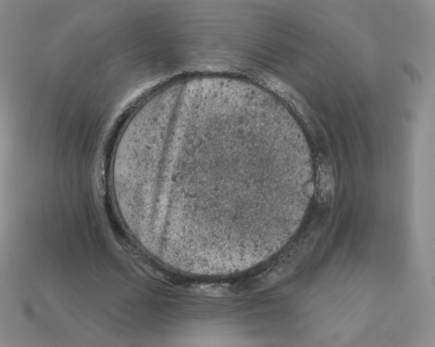 X0000112780680200910011258