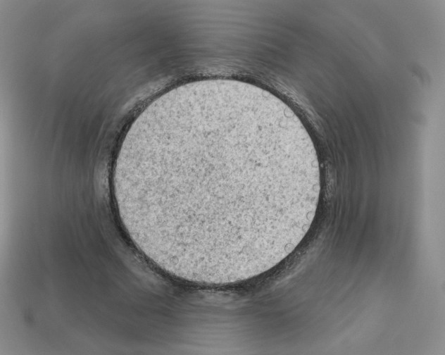 X0000112780681200910011258