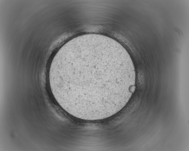 X0000112780682200910011258