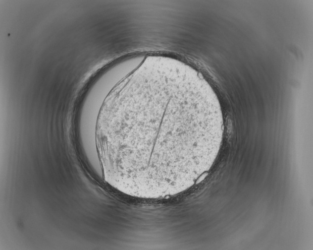 X0000112780684200910011258