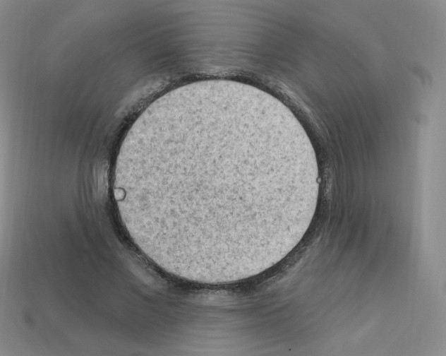 X0000112780685200910011258