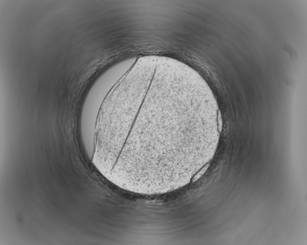 X0000112780689200910011258