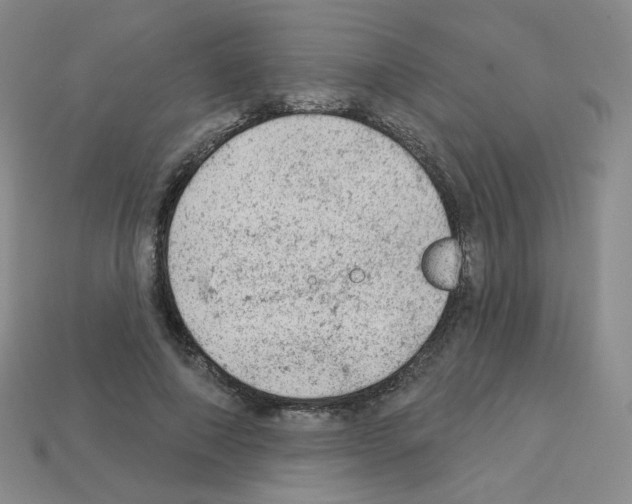 X0000112780690200910011258