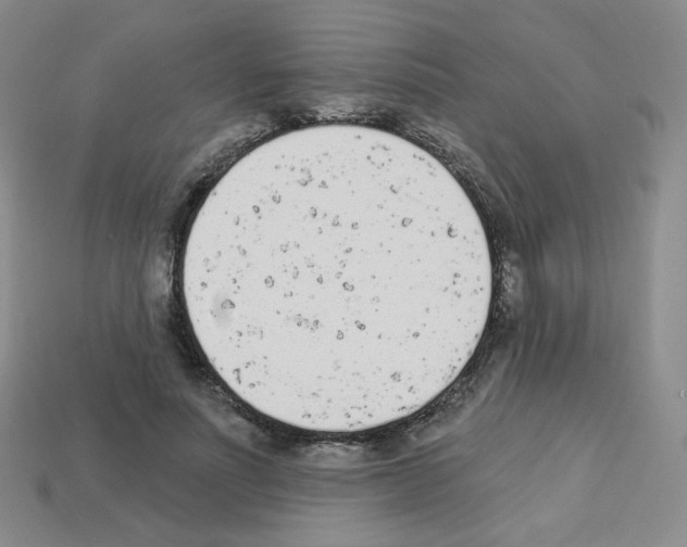 X0000112780691200910011257