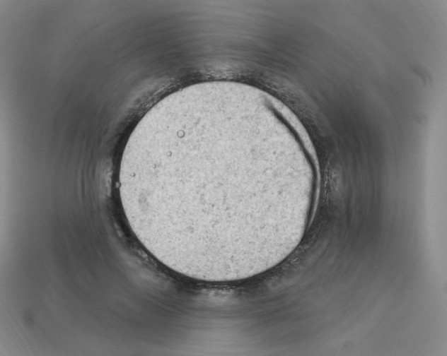 X0000112780694200910011257