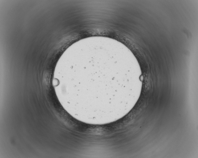 X0000112780695200910011257