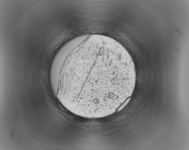 X0000112780696200910011257