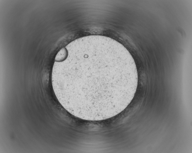 X0000112780697200910011257