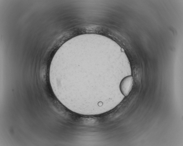 X0000112780698200910011257