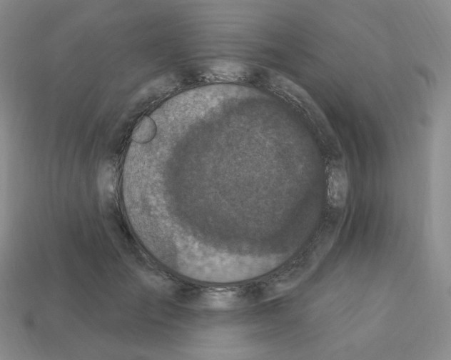 X0000112780701200910011257