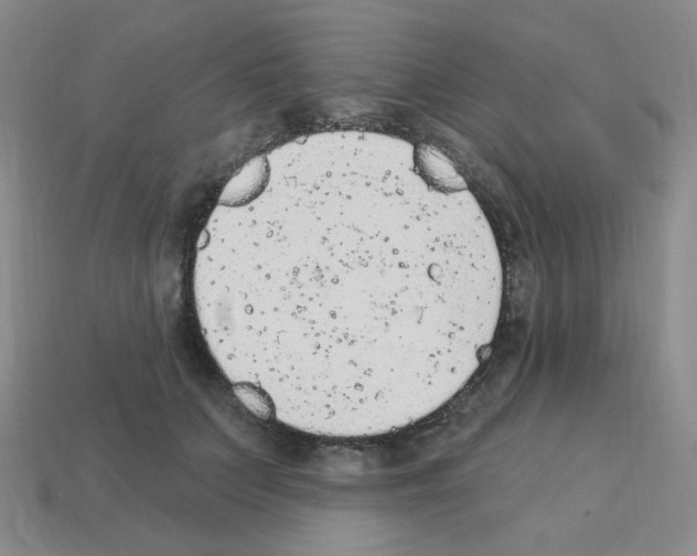 X0000112780703200910011257