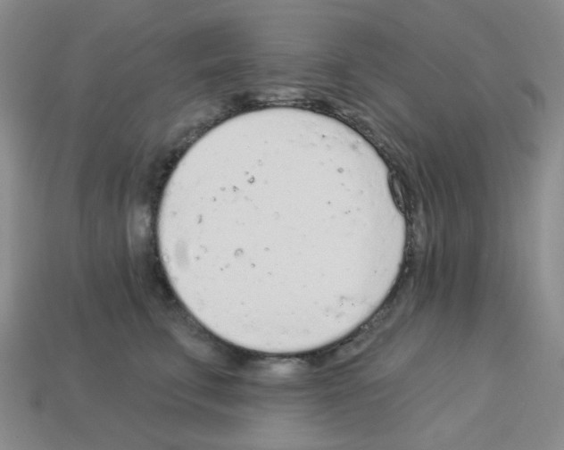 X0000112780711200910011257