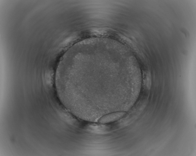 X0000112780712200910011257