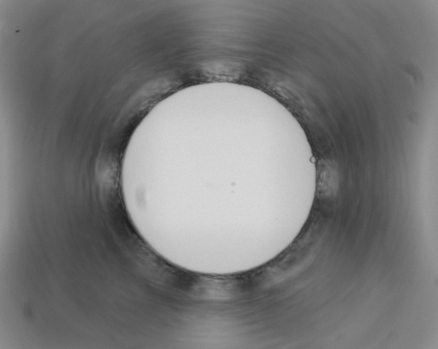 X0000112780713200910011257