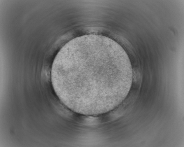 X0000112780718200910011257