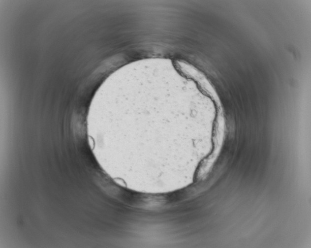 X0000112780719200910011257