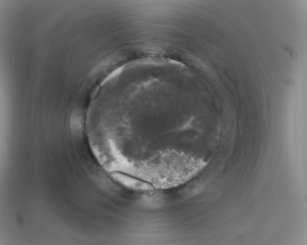 X0000112780720200910011257