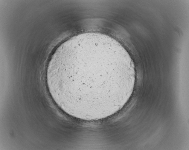 X0000112780721200910011257