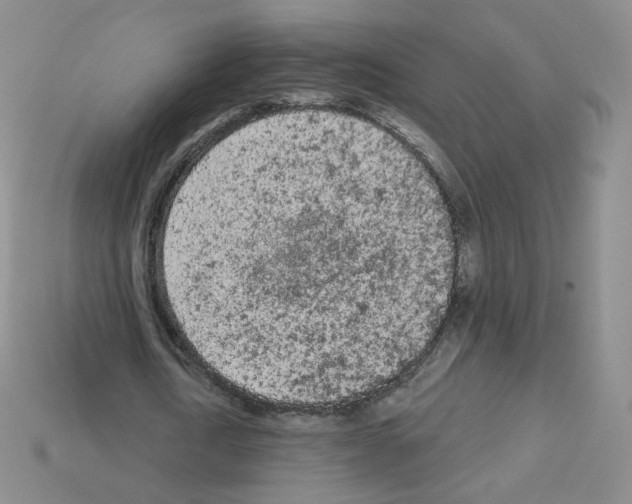 X0000112780722200910011257