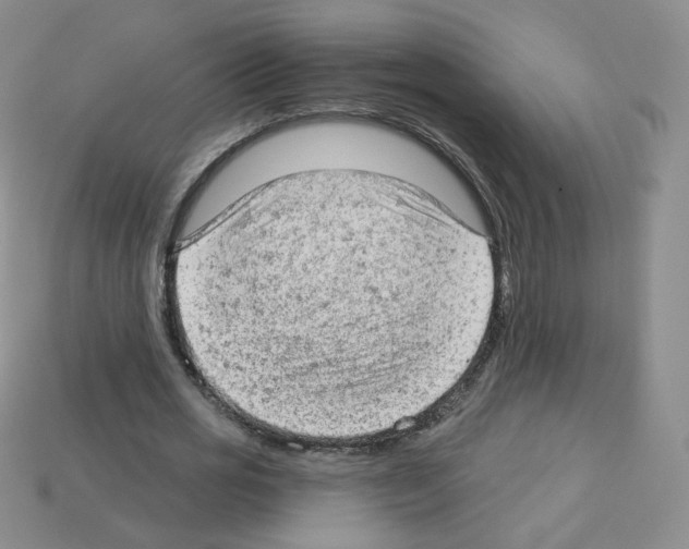 X0000112780725200910011257