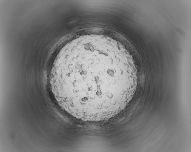 X0000112780729200910011257