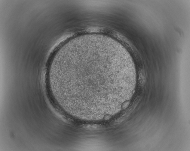 X0000112780730200910011257