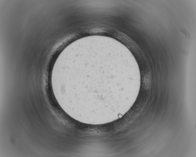 X0000112780732200910011257