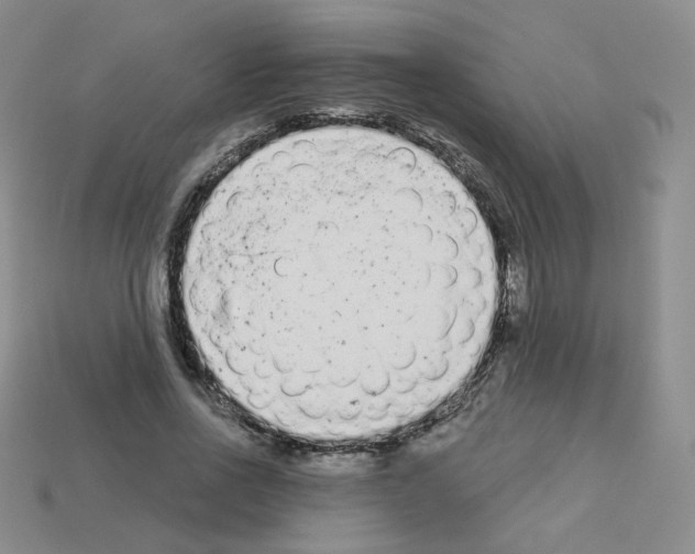 X0000112780734200910011257