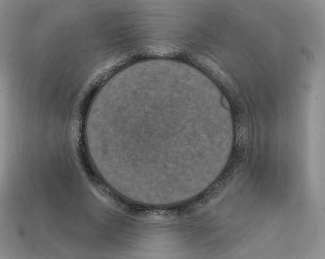 X0000112780736200910011257