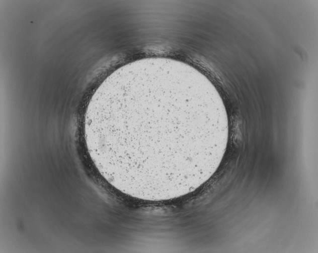 X0000112780738200910011257