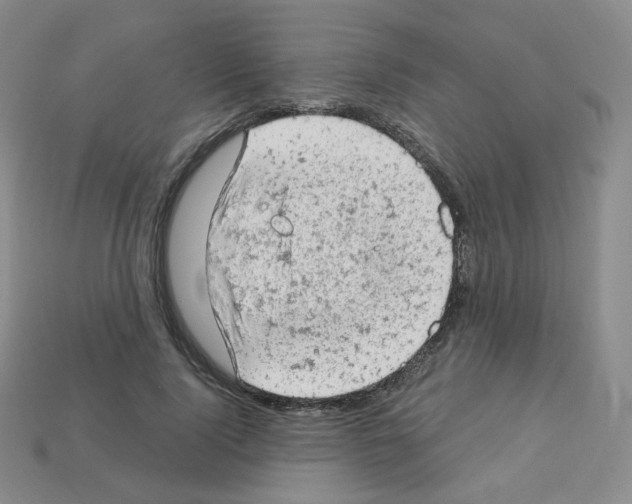 X0000112780740200910011257