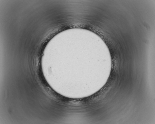 X0000112780742200910011257