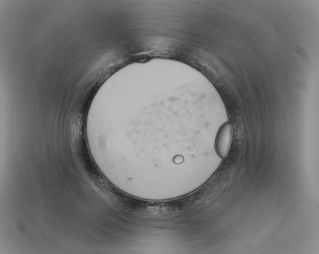 X0000112780744200910011257