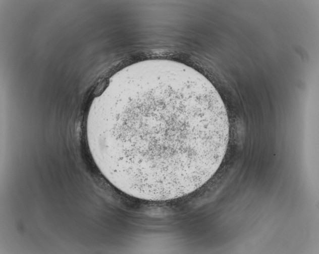 X0000112780746200910011257