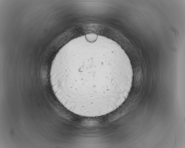 X0000112780749200910011257