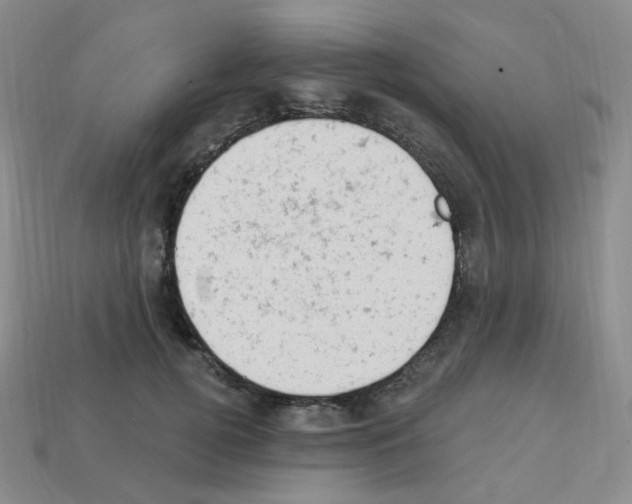 X0000112780752200910011257