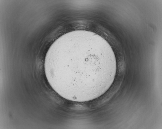 X0000112780753200910011257