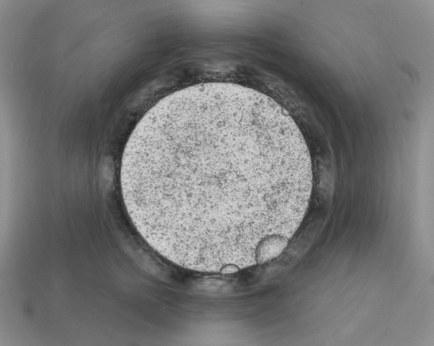 X0000112780758200910011257