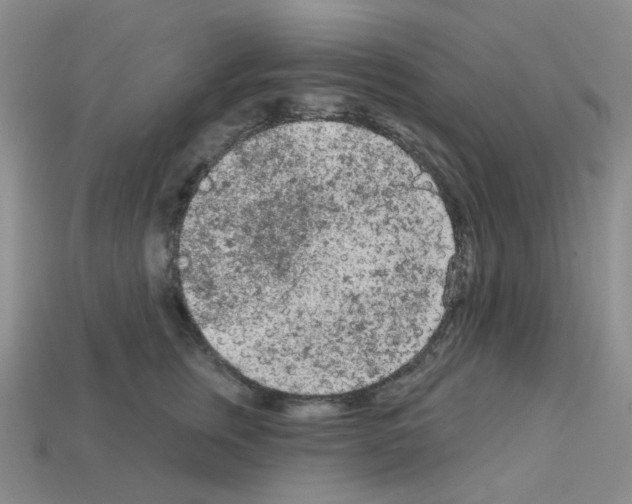 X0000112780759200910011257