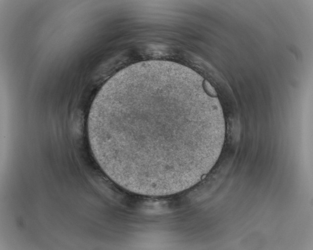 X0000112780760200910011257